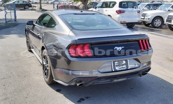 Buy Import Ford Mustang Other Car in Import - Dubai in Belait Buy Import Ford Mustang Other Car in Import - Dubai in Belait