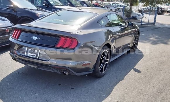Buy Import Ford Mustang Other Car in Import - Dubai in Belait Buy Import Ford Mustang Other Car in Import - Dubai in Belait
