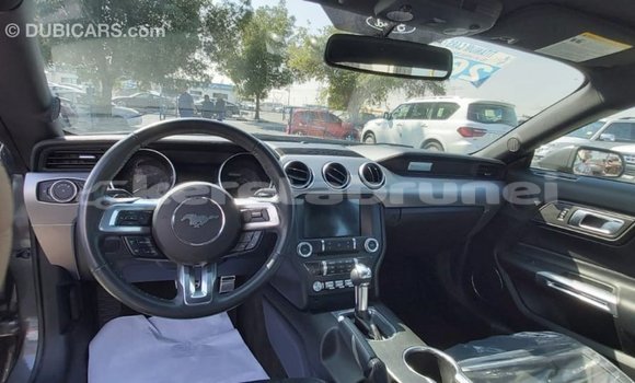 Buy Import Ford Mustang Other Car in Import - Dubai in Belait Buy Import Ford Mustang Other Car in Import - Dubai in Belait
