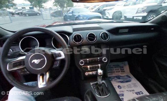 Buy Import Ford Mustang Red Car in Import - Dubai in Belait Buy Import Ford Mustang Red Car in Import - Dubai in Belait