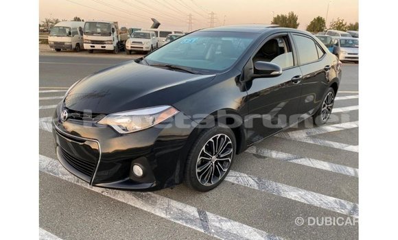Buy Import Toyota Corolla Black Car in Import - Dubai in Belait Buy Import Toyota Corolla Black Car in Import - Dubai in Belait