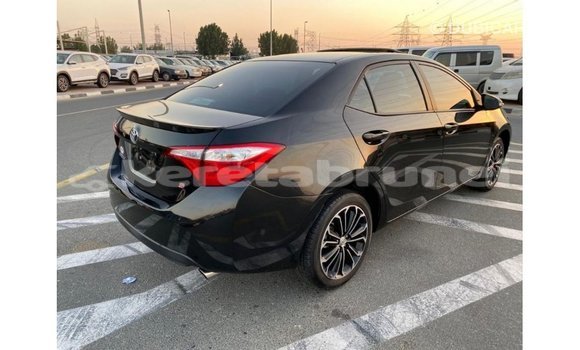 Buy Import Toyota Corolla Black Car in Import - Dubai in Belait Buy Import Toyota Corolla Black Car in Import - Dubai in Belait