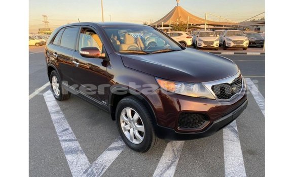 Buy Import Kia Sorento Brown Car in Import - Dubai in Belait Buy Import Kia Sorento Brown Car in Import - Dubai in Belait