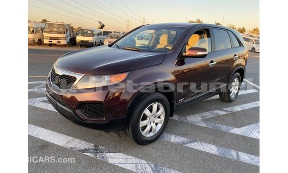 Buy Import Kia Sorento Brown Car in Import - Dubai in Belait Buy Import Kia Sorento Brown Car in Import - Dubai in Belait
