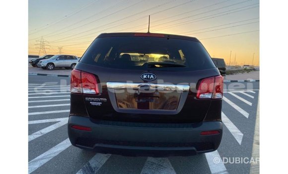 Buy Import Kia Sorento Brown Car in Import - Dubai in Belait Buy Import Kia Sorento Brown Car in Import - Dubai in Belait