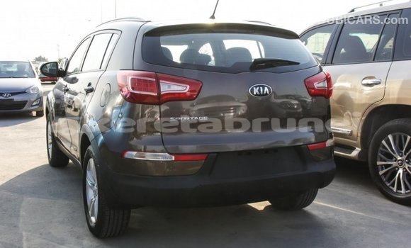 Buy Import Kia Sportage Brown Car in Import - Dubai in Belait Buy Import Kia Sportage Brown Car in Import - Dubai in Belait