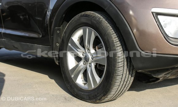 Buy Import Kia Sportage Brown Car in Import - Dubai in Belait