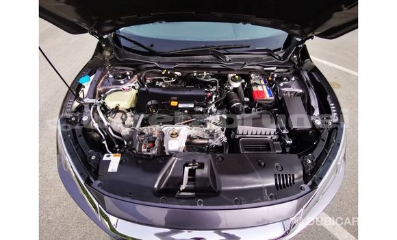 Buy Import Honda Civic Other Car in Import - Dubai in Belait Buy Import Honda Civic Other Car in Import - Dubai in Belait
