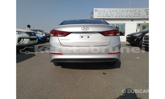 Buy Import Hyundai Elantra Other Car in Import - Dubai in Belait
