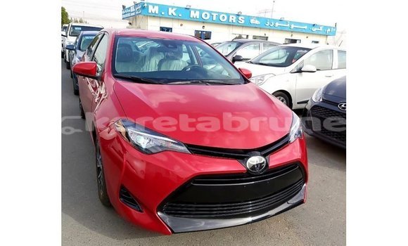Buy Import Toyota Corolla Red Car in Import - Dubai in Belait Buy Import Toyota Corolla Red Car in Import - Dubai in Belait