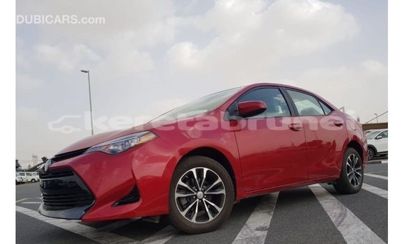 Buy Import Toyota Corolla Red Car in Import - Dubai in Belait Buy Import Toyota Corolla Red Car in Import - Dubai in Belait