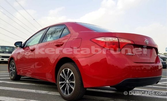 Buy Import Toyota Corolla Red Car in Import - Dubai in Belait Buy Import Toyota Corolla Red Car in Import - Dubai in Belait