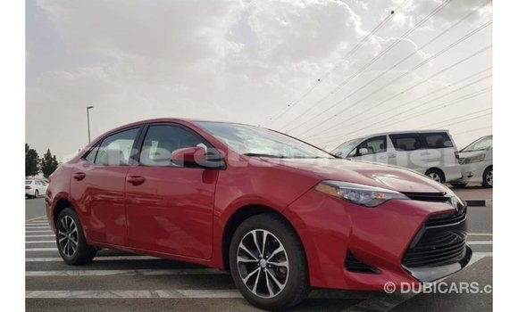 Buy Import Toyota Corolla Red Car in Import - Dubai in Belait Buy Import Toyota Corolla Red Car in Import - Dubai in Belait