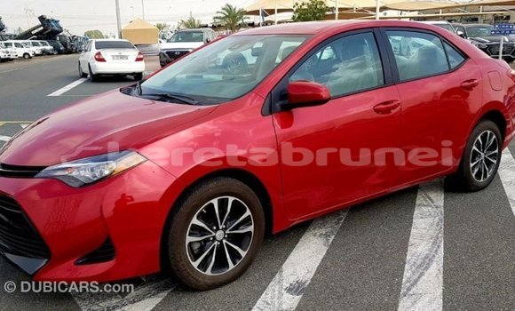 Buy Import Toyota Corolla Red Car in Import - Dubai in Belait Buy Import Toyota Corolla Red Car in Import - Dubai in Belait