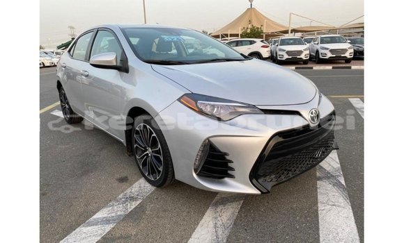 Buy Import Toyota Corolla Other Car in Import - Dubai in Belait Buy Import Toyota Corolla Other Car in Import - Dubai in Belait