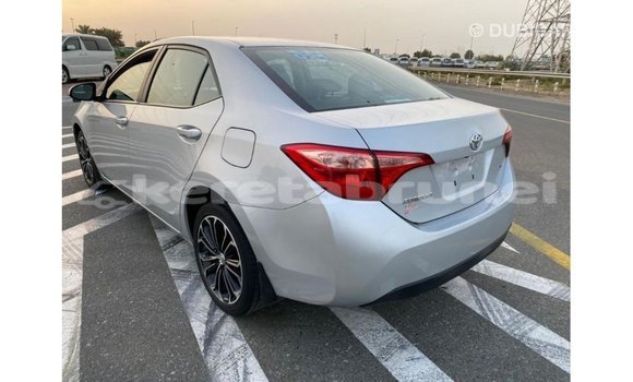 Buy Import Toyota Corolla Other Car in Import - Dubai in Belait Buy Import Toyota Corolla Other Car in Import - Dubai in Belait