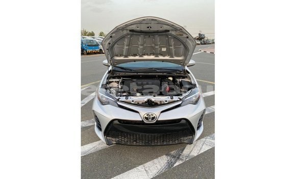 Buy Import Toyota Corolla Other Car in Import - Dubai in Belait Buy Import Toyota Corolla Other Car in Import - Dubai in Belait