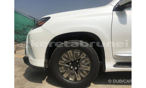 Buy Import Lexus GX White Car in Import - Dubai in Belait Buy Import Lexus GX White Car in Import - Dubai in Belait