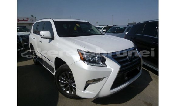 Buy Import Lexus GX White Car in Import - Dubai in Belait Buy Import Lexus GX White Car in Import - Dubai in Belait