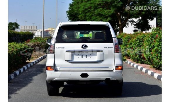 Buy Import Lexus GX White Car in Import - Dubai in Belait Buy Import Lexus GX White Car in Import - Dubai in Belait