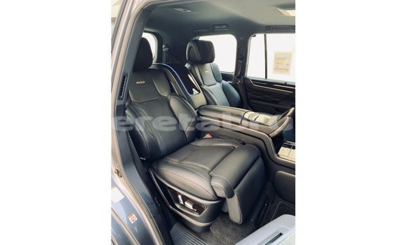 Buy Import Lexus LX Other Car in Import - Dubai in Belait Buy Import Lexus LX Other Car in Import - Dubai in Belait