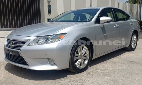 Buy Used Lexus ES Silver Car in Bandar Seri Begawan in Brunei-Muara Buy Used Lexus ES Silver Car in Bandar Seri Begawan in Brunei-Muara