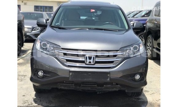 Buy Import Honda C Other Bike in Import - Dubai in Belait Buy Import Honda C Other Bike in Import - Dubai in Belait