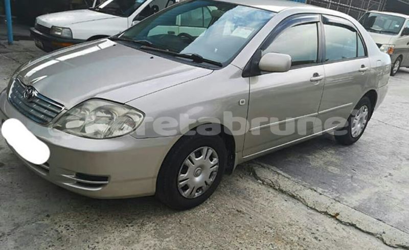 Big with watermark 54798603 304971450197824 5883783360735608832 n