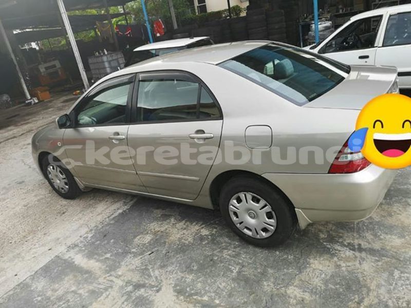 Big with watermark 55639997 304971466864489 5540855588226859008 n