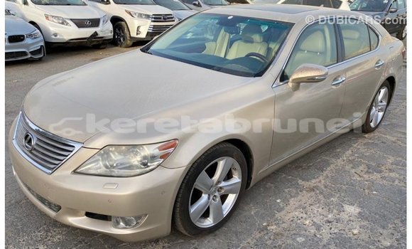 Buy Import Lexus LS Other Car in Import - Dubai in Belait Buy Import Lexus LS Other Car in Import - Dubai in Belait