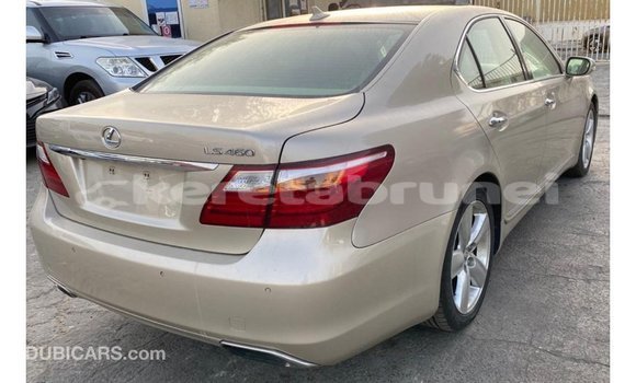 Buy Import Lexus LS Other Car in Import - Dubai in Belait Buy Import Lexus LS Other Car in Import - Dubai in Belait