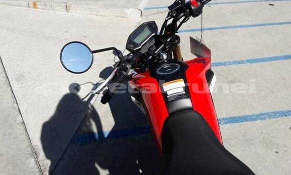 Buy Used Honda Grom Red Bike in Import - Dubai in Belait