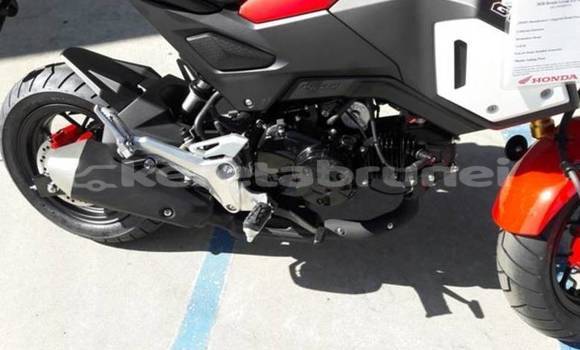 Buy Used Honda Grom Red Bike in Import - Dubai in Belait Buy Used Honda Grom Red Bike in Import - Dubai in Belait