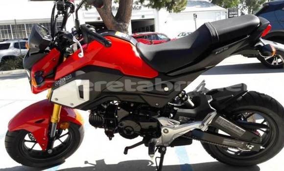 Buy Used Honda Grom Red Bike in Import - Dubai in Belait Buy Used Honda Grom Red Bike in Import - Dubai in Belait
