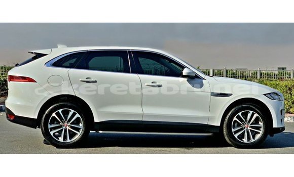 Buy Import Jaguar F-Pace White Car in Import - Dubai in Belait Buy Import Jaguar F-Pace White Car in Import - Dubai in Belait