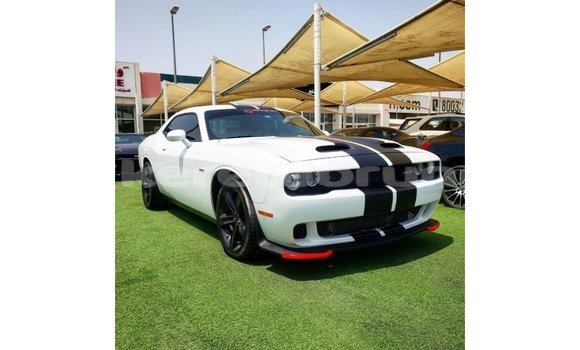Buy Import Dodge Challenger White Car in Import - Dubai in Belait