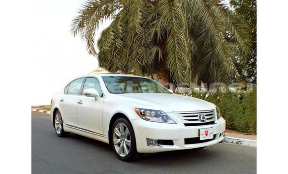 Buy Import Lexus LS White Car in Import - Dubai in Belait