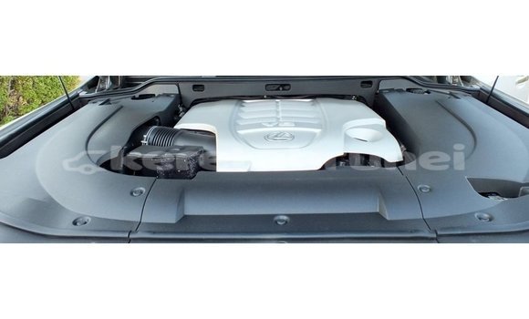 Buy Import Lexus LX Other Car in Import - Dubai in Belait Buy Import Lexus LX Other Car in Import - Dubai in Belait