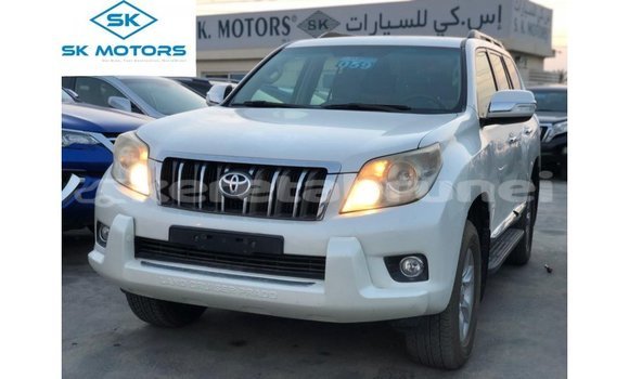 Buy Import Toyota Prado White Car in Import - Dubai in Belait