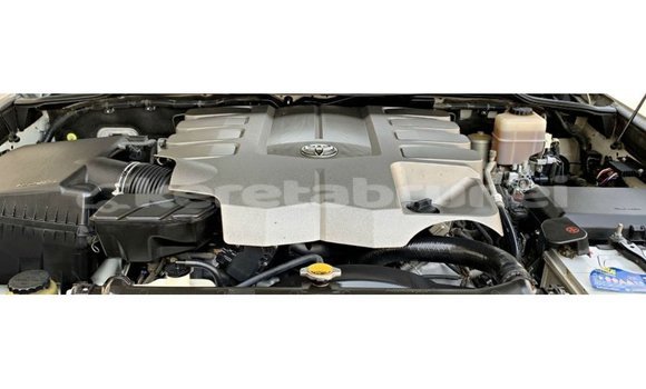 Buy Import Toyota Land Cruiser White Car in Import - Dubai in Belait Buy Import Toyota Land Cruiser White Car in Import - Dubai in Belait