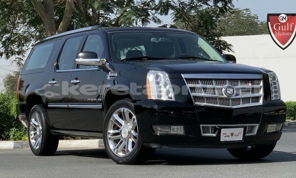 Buy Import Cadillac Escalade Black Car in Import - Dubai in Belait