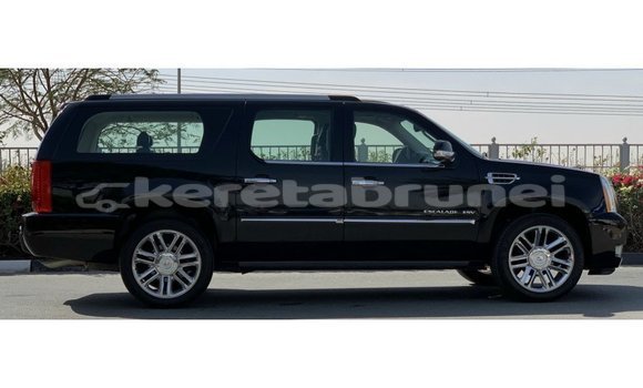 Buy Import Cadillac Escalade Black Car in Import - Dubai in Belait Buy Import Cadillac Escalade Black Car in Import - Dubai in Belait