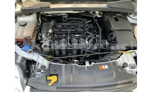 Buy Import Ford Focus White Car in Import - Dubai in Belait Buy Import Ford Focus White Car in Import - Dubai in Belait