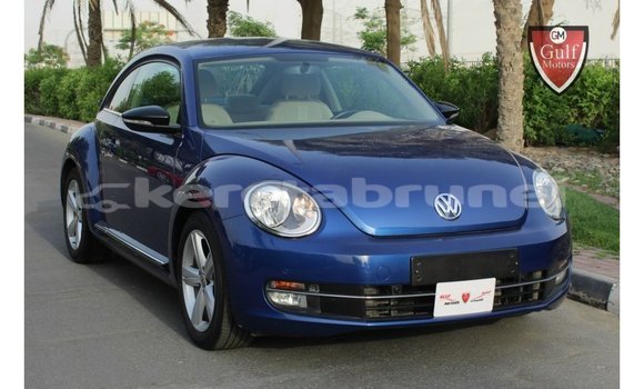 Buy Import Volkswagen Beetle Blue Car in Import - Dubai in Belait