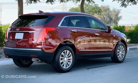 Buy Import Cadillac XT5 Red Car in Import - Dubai in Belait Buy Import Cadillac XT5 Red Car in Import - Dubai in Belait