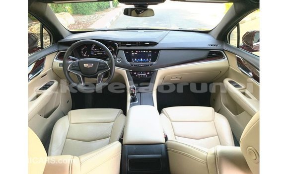 Buy Import Cadillac XT5 Red Car in Import - Dubai in Belait Buy Import Cadillac XT5 Red Car in Import - Dubai in Belait