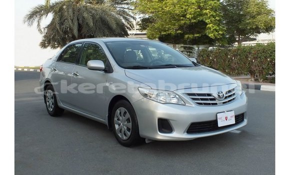 Buy Import Toyota Corolla Other Car in Import - Dubai in Belait