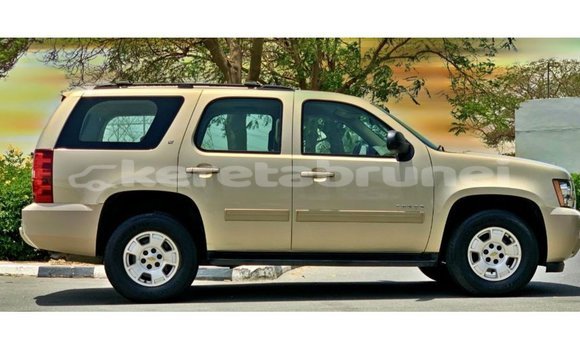 Buy Import Chevrolet Tahoe Other Car in Import - Dubai in Belait Buy Import Chevrolet Tahoe Other Car in Import - Dubai in Belait