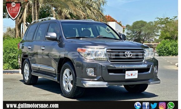 Buy Import Toyota Land Cruiser Other Car in Import - Dubai in Belait