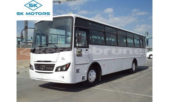 Buy Import Tata Xenon White Car in Import - Dubai in Belait